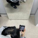마이클로젯
