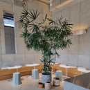 엠목장 | [이천 대형 카페] 카페더엠 신선한 목장 우유 디저트 내 돈 내산 후기