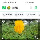 하길문화공원 이미지