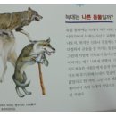 빨간모자 이미지