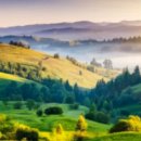 두부삼촌캠프 이미지