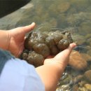 여주금강의원 이미지