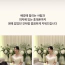 엘로디(Elody) 이미지