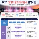 부산 여름휴가 가볼만한 곳 다대포해수욕장 후기