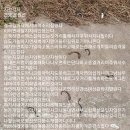 지렁지렁