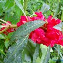 창규농장 이미지