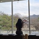 이색체험마을 | 전주 한옥마을 체험 겨울에도 따뜻한 이색 여행 코스 카페 더마시랑게 다도 후기