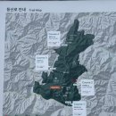 구정리 | [강원도 정선] 2박 3일 여행(민둥산, 넌커피, 정선 아리랑시장, 정선 레일바이크)