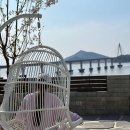 달에게 빌려온 하루 이미지