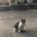 소문난부자돼지국밥구포점 이미지