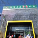 은혜다육 | 대구 근처 창녕우포 곤충나라 아이와 함께 가면 좋은곳 추천해요