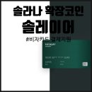 솔라나 기반 솔레이어(Solayer), 비자카드 결제 가능