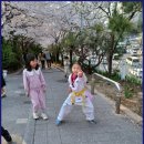 배울태권도장 이미지