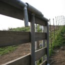 화악목장 이미지