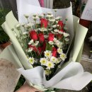 샤론  꽃  화원 이미지