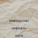 배다리저수지 주변 이미지