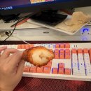 레벨업 PC방 | 인하대 피시방 레벨업피시방 후기