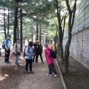 제165차 소래산(경기시흥)산행~인천대공원 트레킹 테마활동 후기 이미지