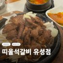 띠울참숯불석갈비 | 대전 돼지갈비 맛집 띠울석갈비 유성점 내돈내산 후기/대전여행 맛집 추천