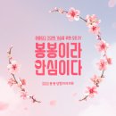 그린성형외과의원 네이버블로그