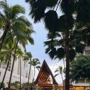 다이아몬드카서비스 | ✨하와이여행 와이키키 &amp; 노스쇼어 🌊 | 맛집 · 다이아몬드헤드 🌺 아웃리거리프호텔🎄