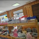 펫엔글라이더 천안점 이미지