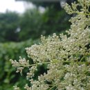 우산공원길 이미지