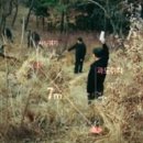 배산 이미지