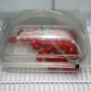 호텔루체 이미지