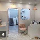 로즈멍