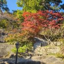 커피프린세스 | 서울 단풍 명소 Top3 석파정, 전시회 사란란 &amp; 천경자(+할인방법)