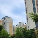 힐스행정사무소 이미지