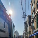 금성부동산공인중개사사무소 이미지