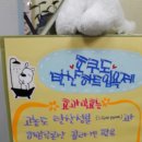 행복하개 애견샵 이미지