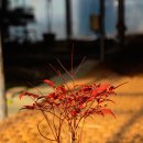 김포시 산림조합