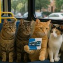 JR AUTO | 해외 교통카드 완벽 사용법 가이드