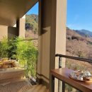 곰스테이리조트 이미지