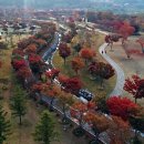 내장산 단풍생태공원 이미지