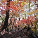 대후보건진료소 이미지