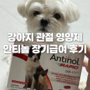 퓨란 | 강아지 십자인대 수술 후 관리 필수템! 관절 영양제 ‘안티놀’ 내돈내산 장기급여 후기
