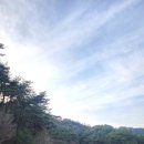 파인힐즈 이미지