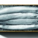 제주생갈치 이미지