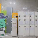 용인시박물관 (구 용인문화유적전시관) 이미지