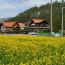 철마목장 이미지