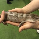 쥬라리움 테마파크 파주점
