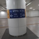 서현2층약국 | [헌혈 후기] 2026년 3월, 295번째 헌혈 - 헌혈의집...신분당선/경강선 2번 출구 방향 그레이츠판교 2층)