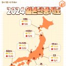 2024년 일본 지역별 단풍 절정시기 (+ 지역별 단풍 명소 추천) 이미지