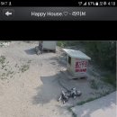 개팔자 상팔자 이미지