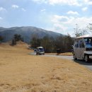 동강시스타 이미지