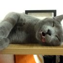 라온블루